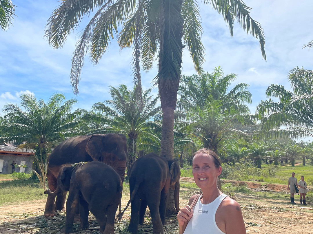 Following Giants - Krabi-Khlong Hin必去景点