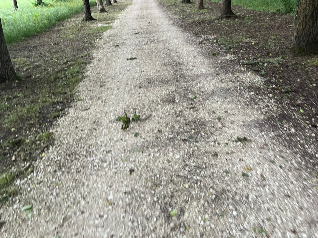 Pista Ciclabile del Trasimeno-Castiglione del Lago必去景点