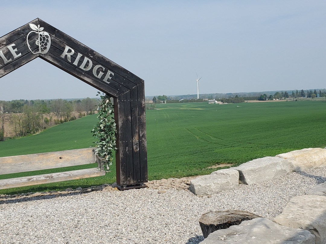 Shale Ridge Estate Winery, Cidery, & Nordic Spa-Thedford必去景点
