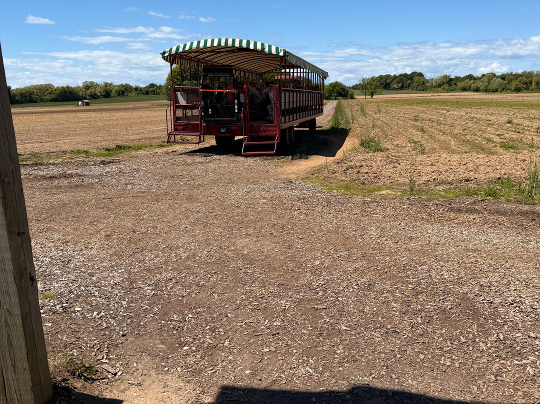 Harbes Family Farm-Mattituck必去景点