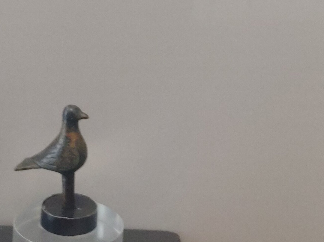 Museo Nazionale Archeologico di Nuoro-Nuoro必去景点