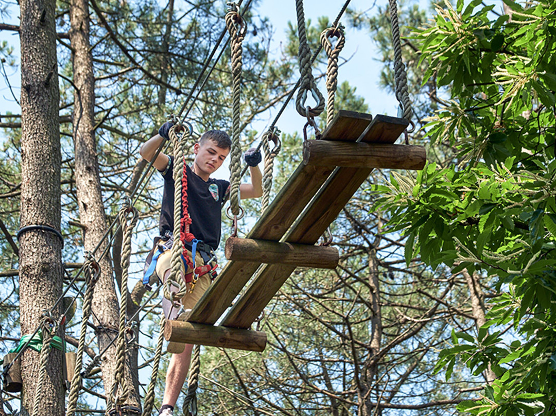Quelneuc Aventures Forest