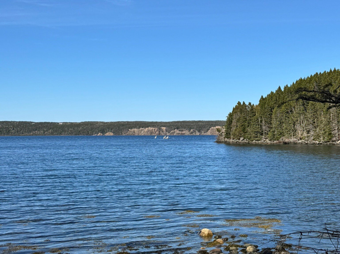 Gypsy Sea Adventures-Clarenville必去景点