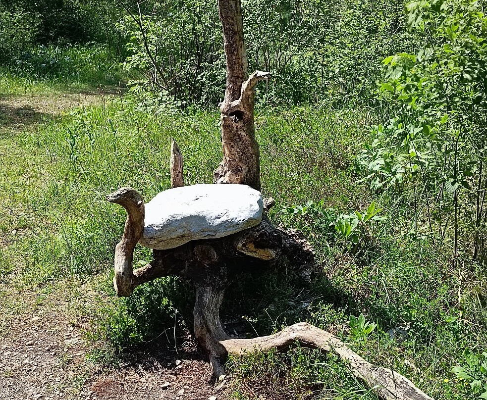 Ledro Land Art-莱德罗必去景点