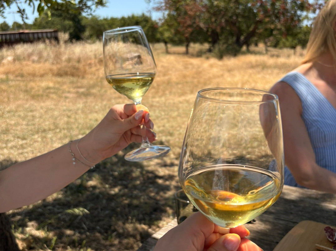 Can Pizà Boutique Winery-Santa Maria del Cami必去景点