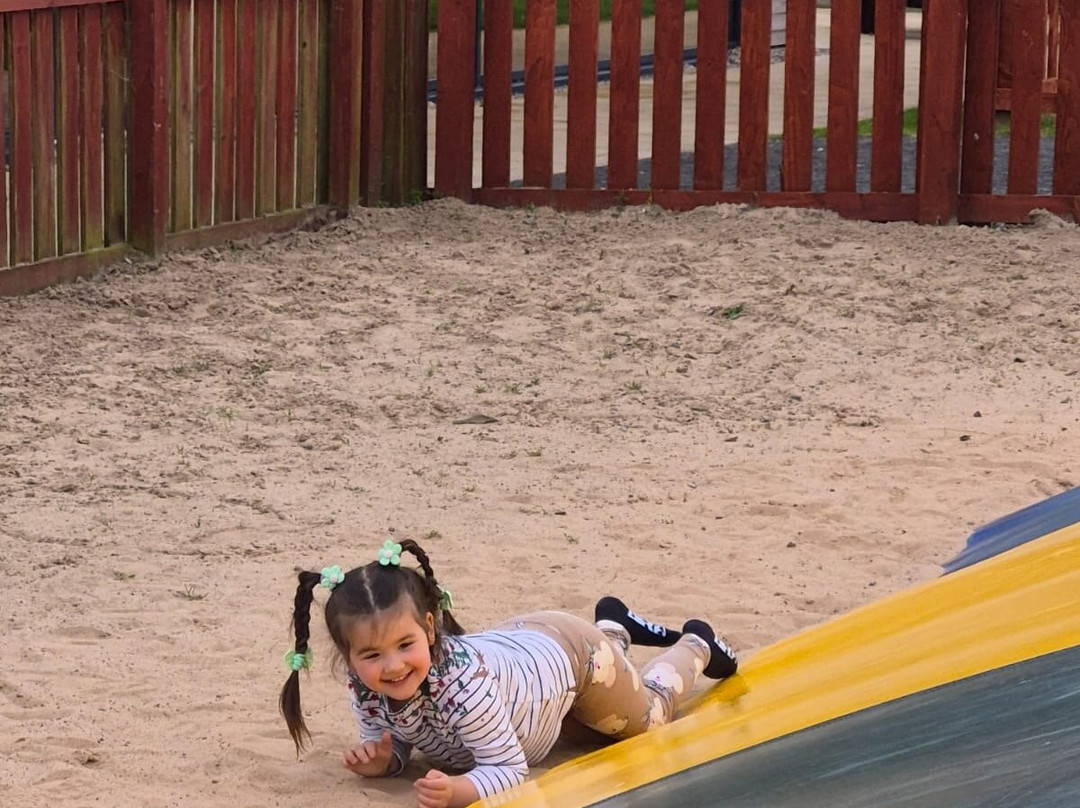 Active Kids Adventure Park-Stanley必去景点