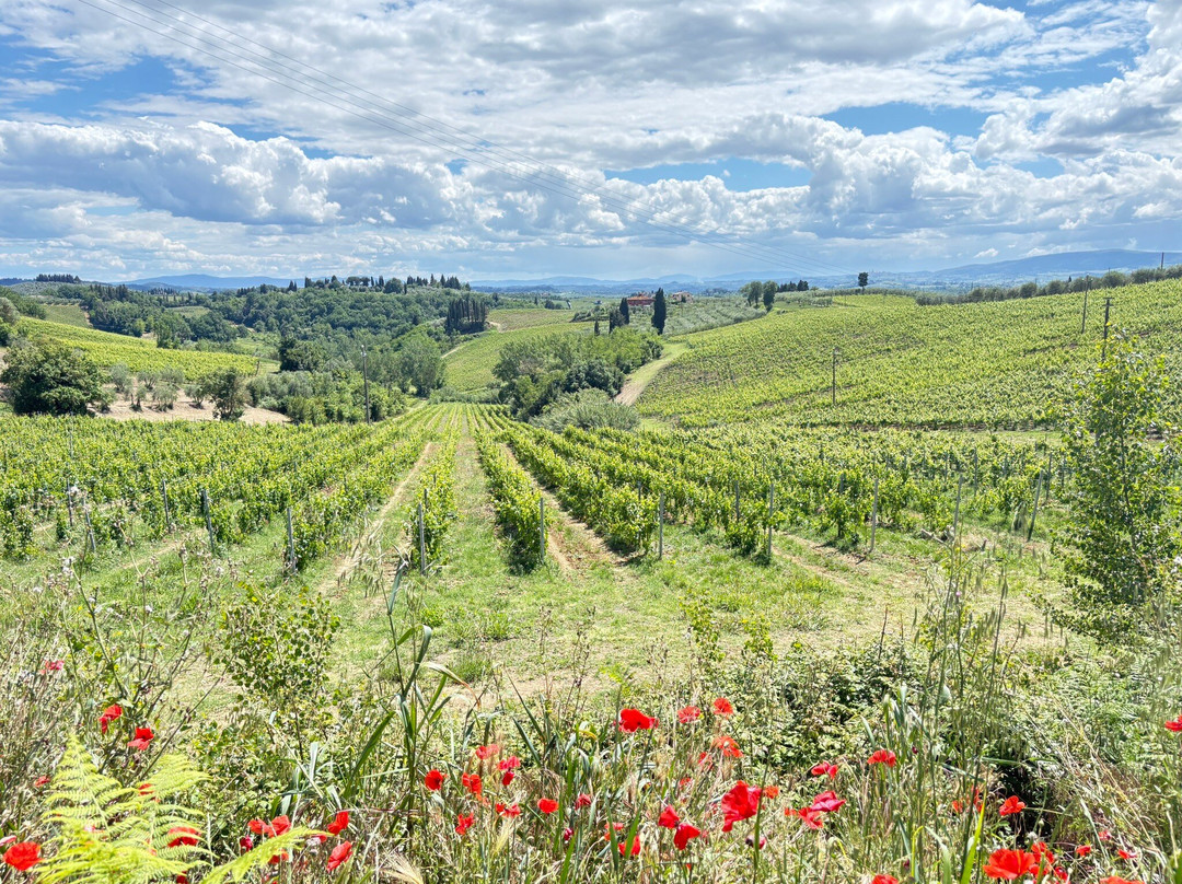 Organic Tuscany Cooking Classes-切塔尔多必去景点