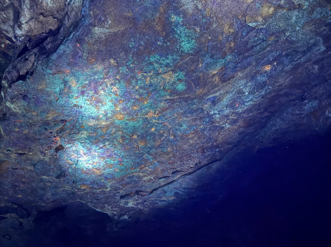 Stark Caverns-Eldon必去景点