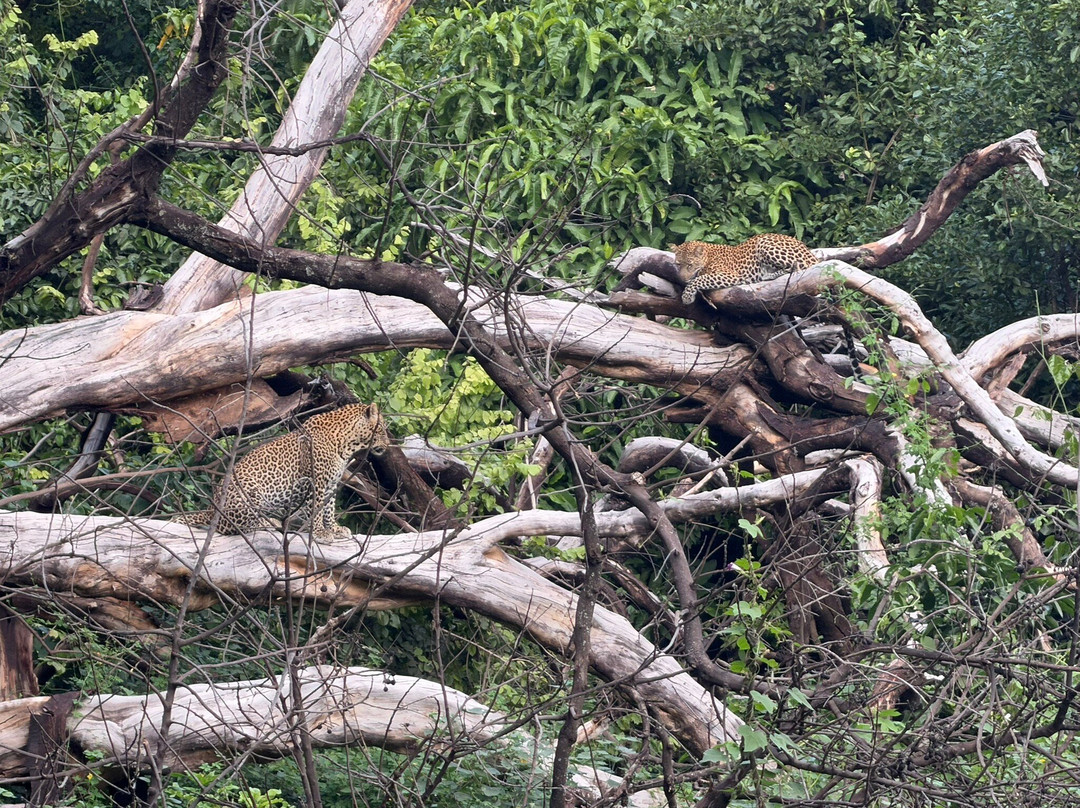 Lake Manyara-Lake Manyara National Park必去景点