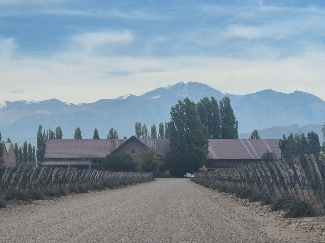 Susana Balbo Wines-路冉得库约必去景点