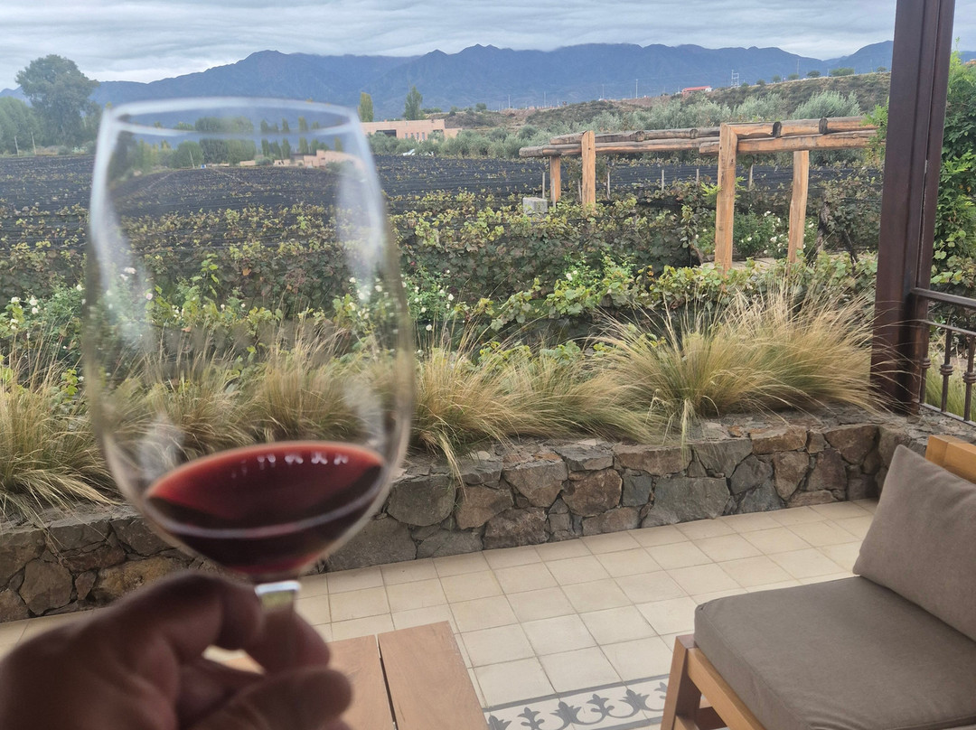 Durigutti Family Winemakers-门多萨必去景点