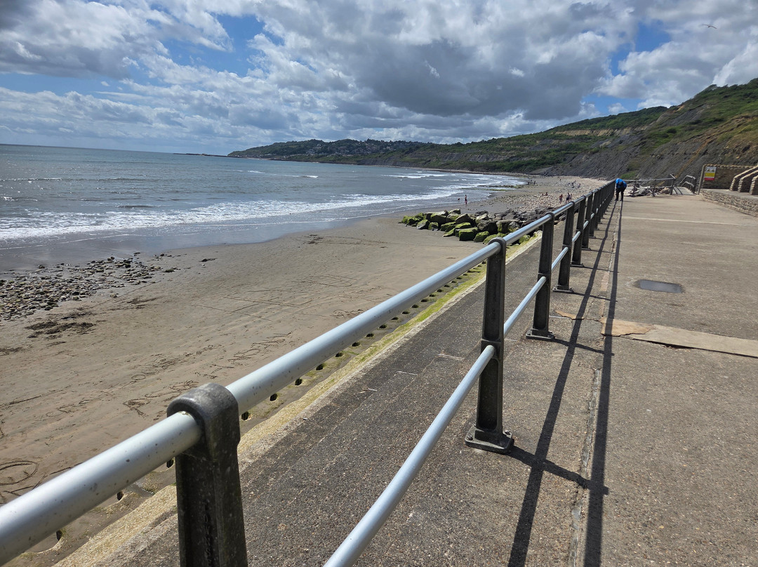 Jurassic Coast Guides-Charmouth必去景点