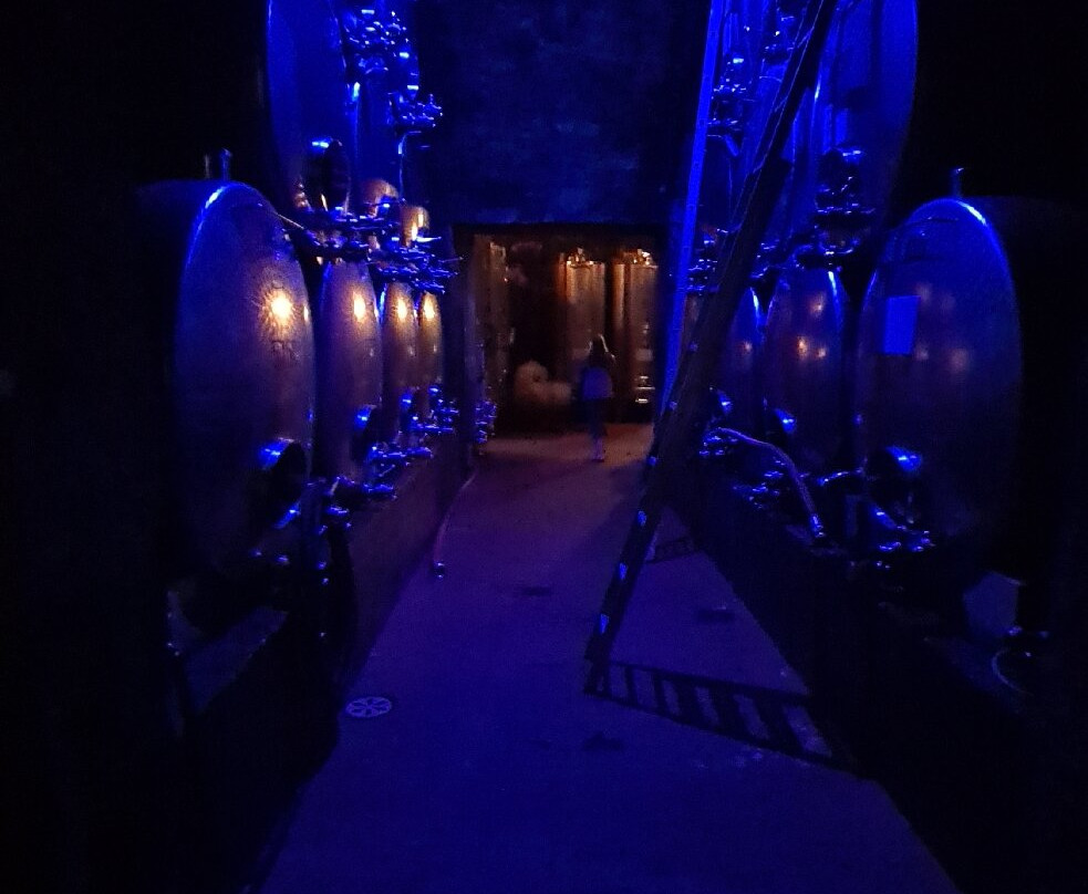 Castello Rametz - Wine Museum-梅拉诺必去景点