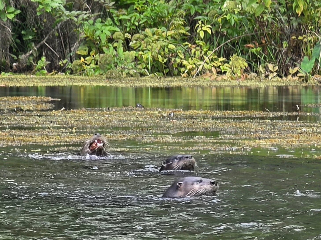 Rainbow River Kayak Adventures-Dunnellon必去景点