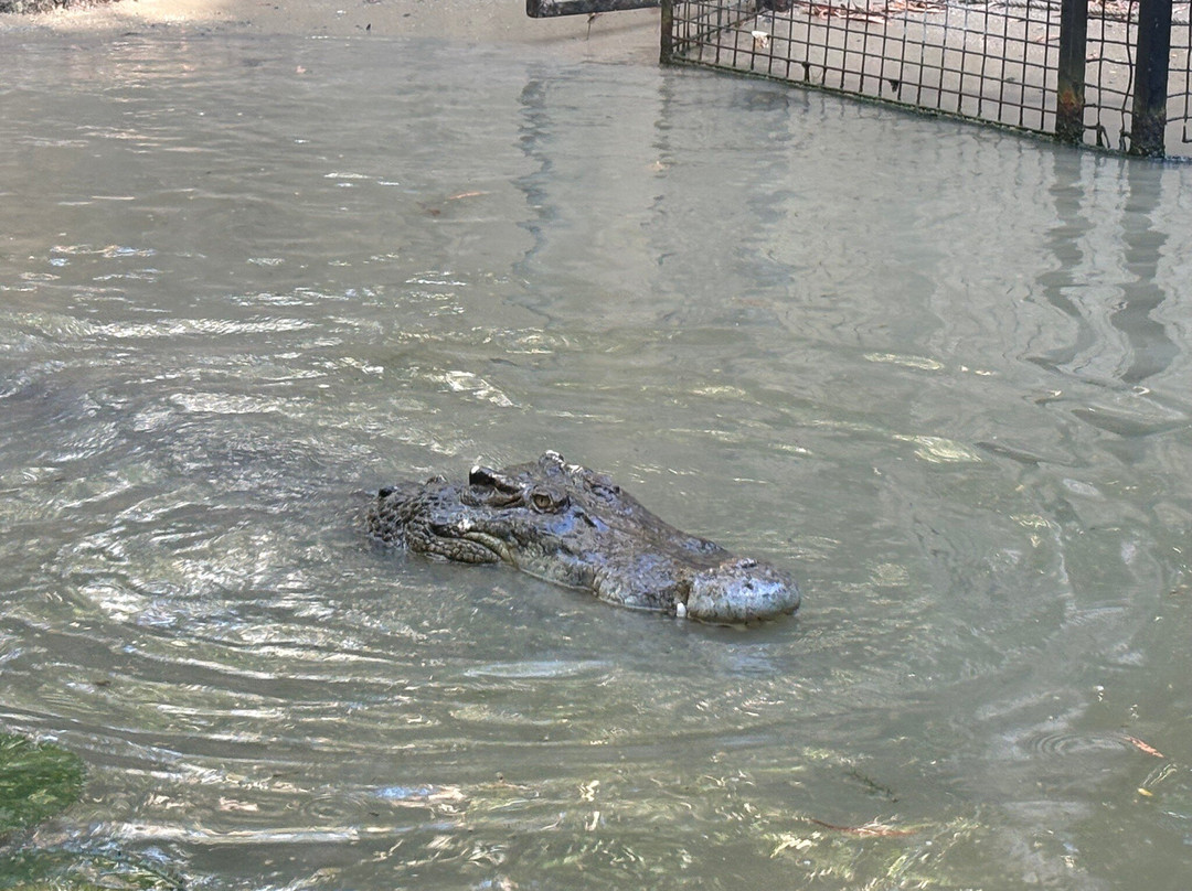 Hartley's Crocodile Adventures-Wangetti必去景点