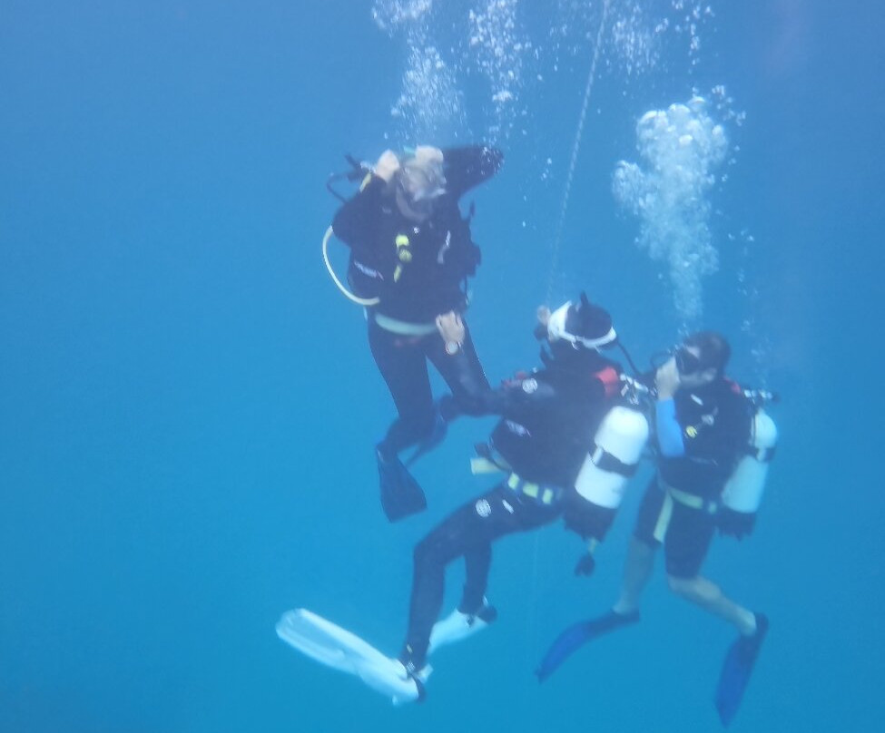 Museum of Underwater Art-North Ward必去景点