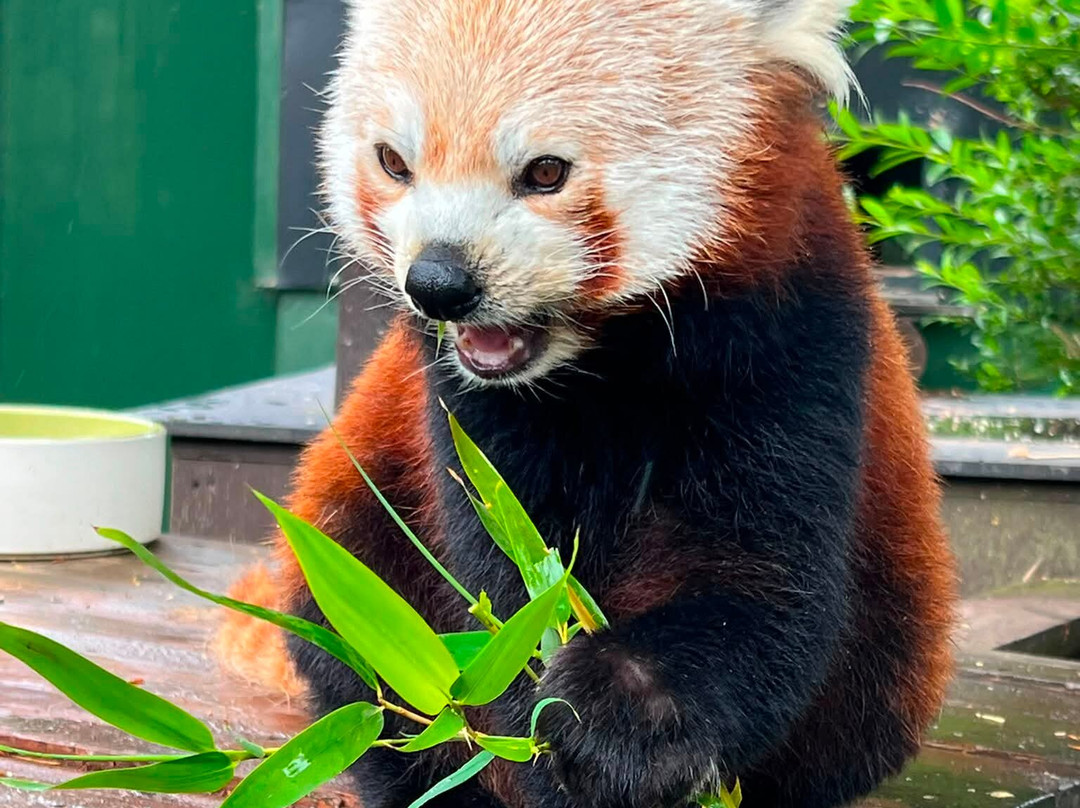 Shepreth Wildlife Park-Shepreth必去景点