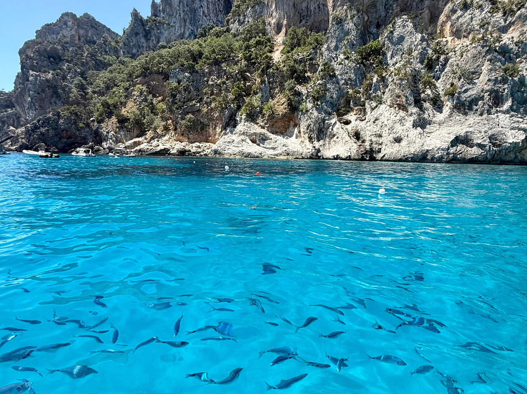Palmasera Boat Rental-Cala Gonone必去景点