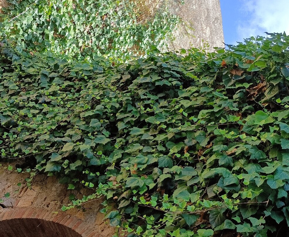 Passeig Arqueològic-塔拉戈纳必去景点