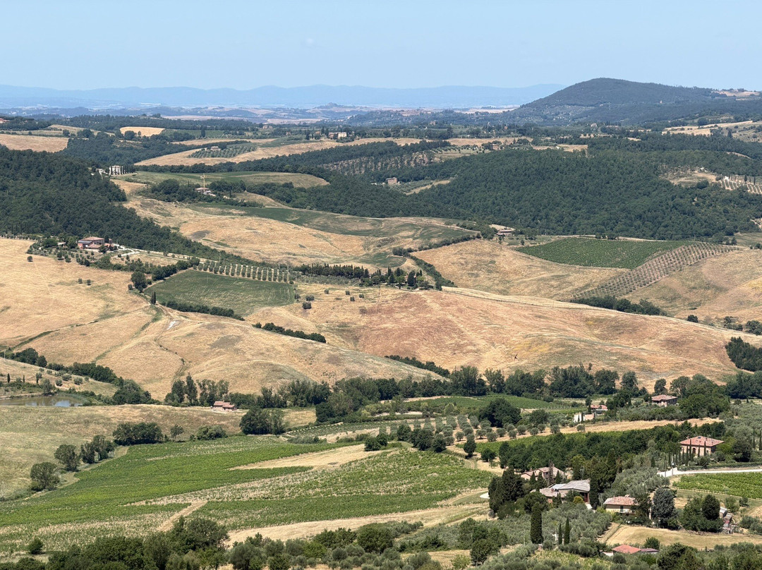 Taxi Driver In Tuscany-蒙泰瓦尔基必去景点