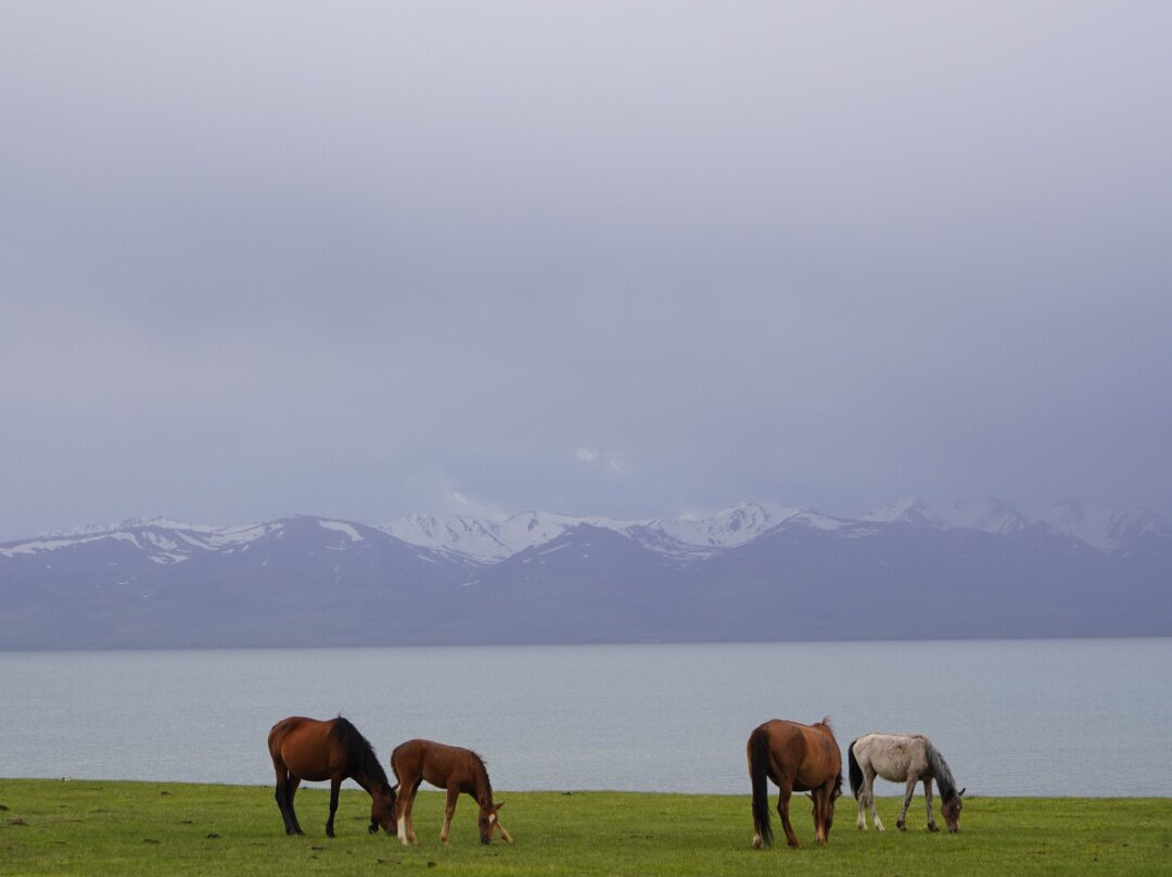 Kyrgyz Wonders Travel Company-比斯凯克必去景点