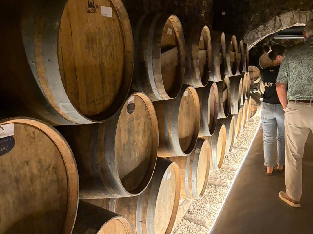 Winery Dourakis-Alikampos必去景点