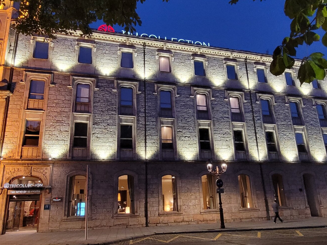 布尔戈斯宫NH典藏酒店主图