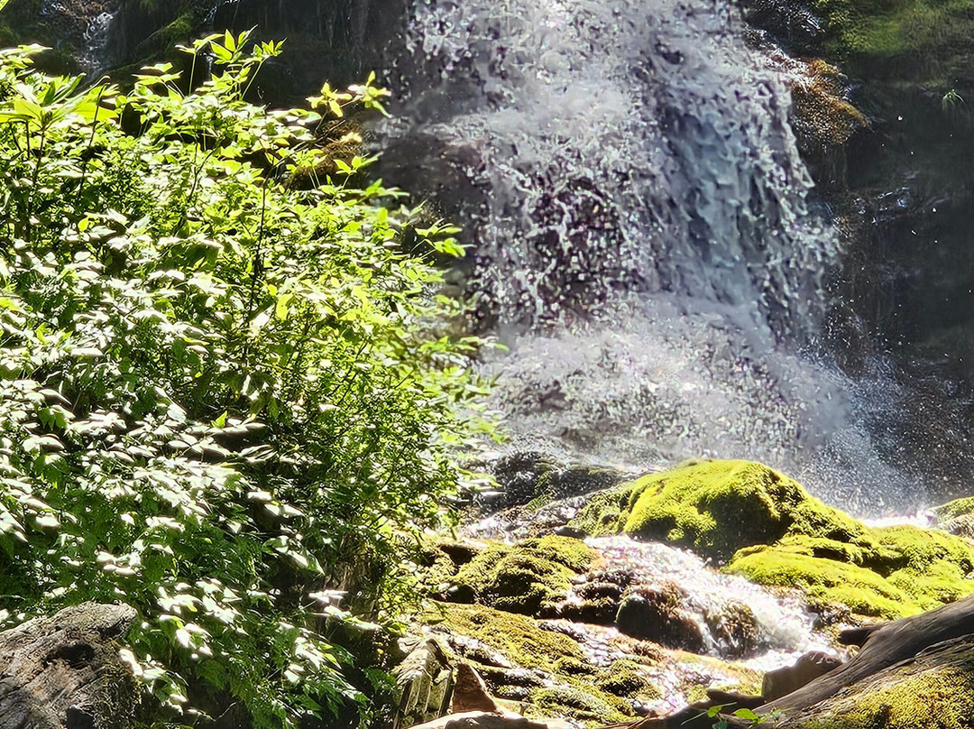 Mingo Falls-切罗基必去景点