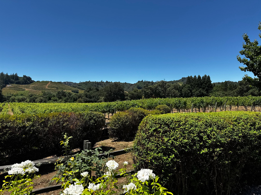 Dutcher Crossing Winery-Geyserville必去景点