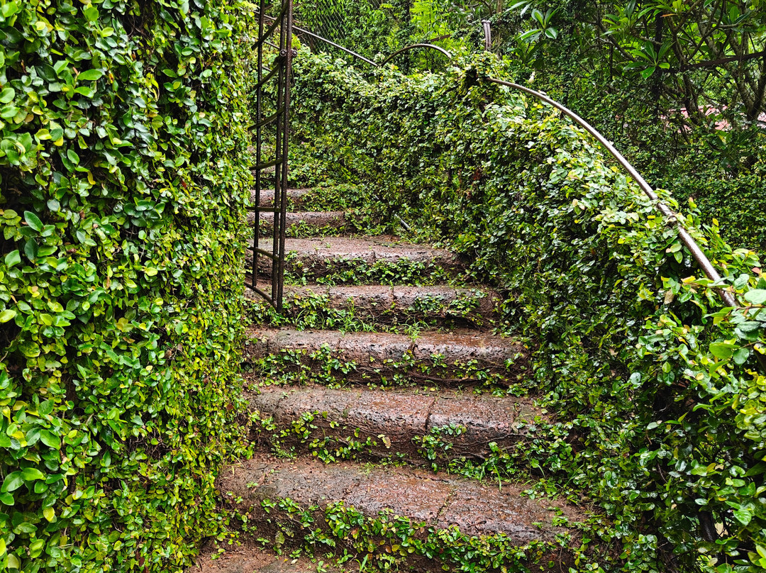 Capella Forest Retreat & Homestay主图