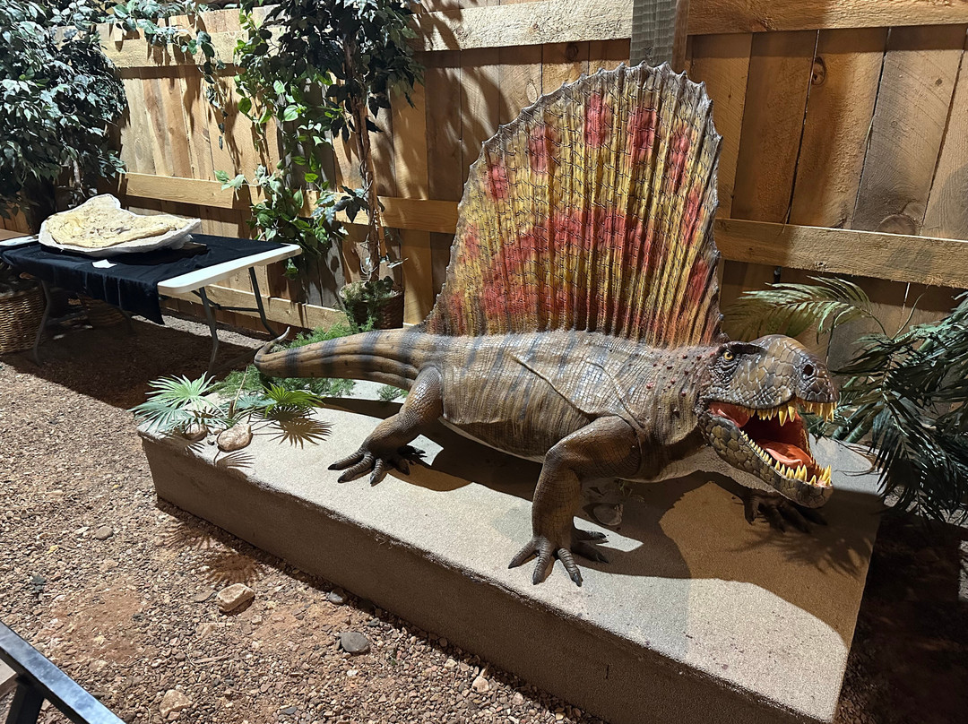 Dinosaur Museum-拉皮德城必去景点