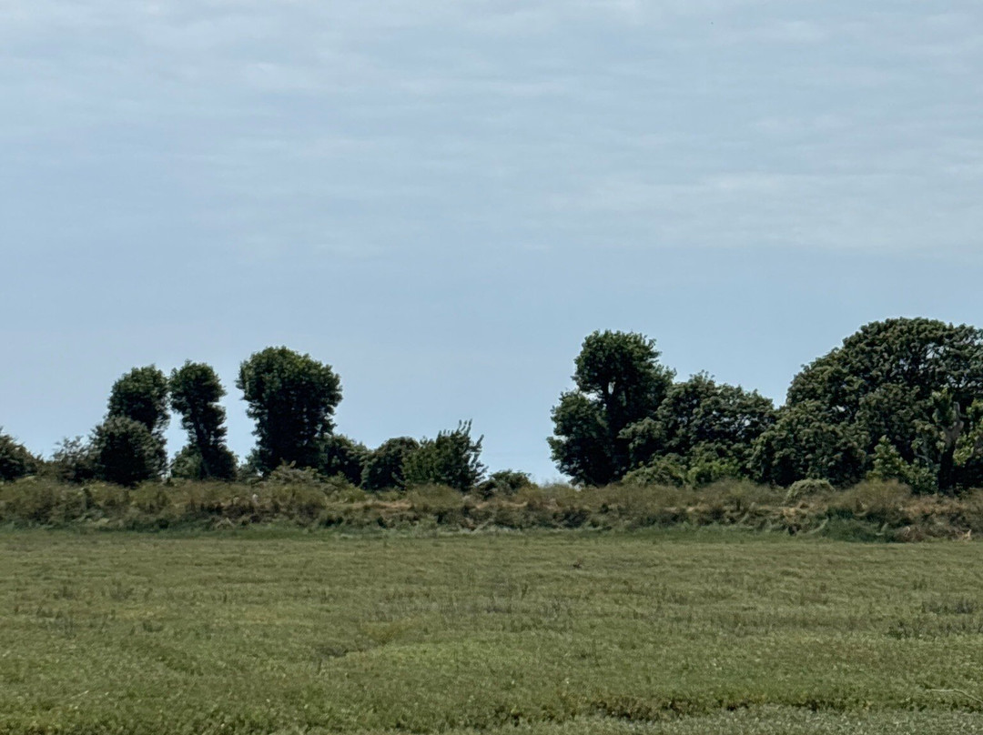 Rye Harbour Nature Reserve-拉伊必去景点