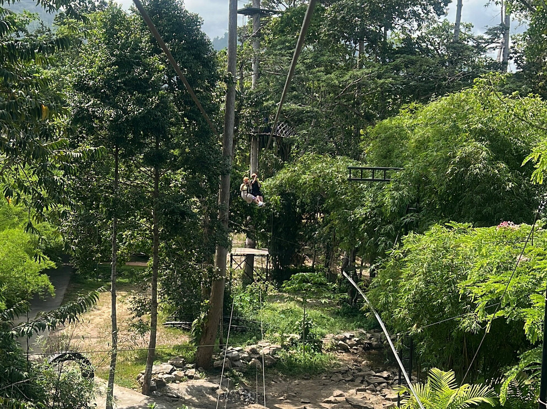 Samui Zipline & Adventures-利巴诺伊必去景点