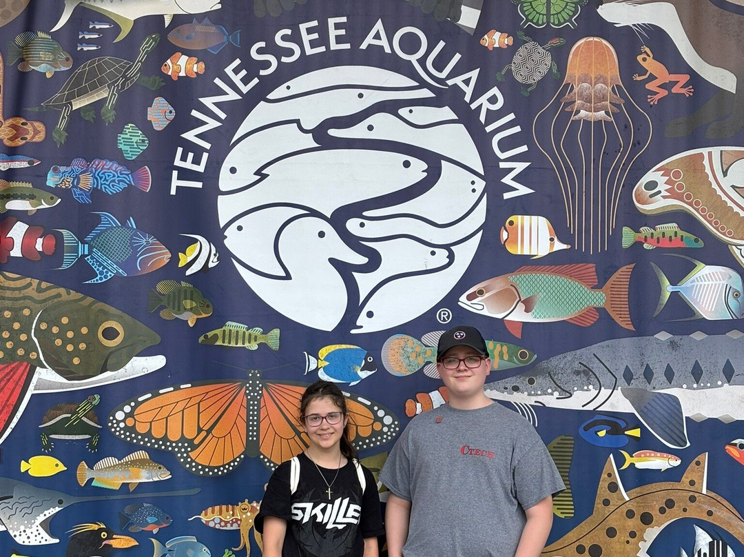 田纳西水族馆-查塔努加必去景点