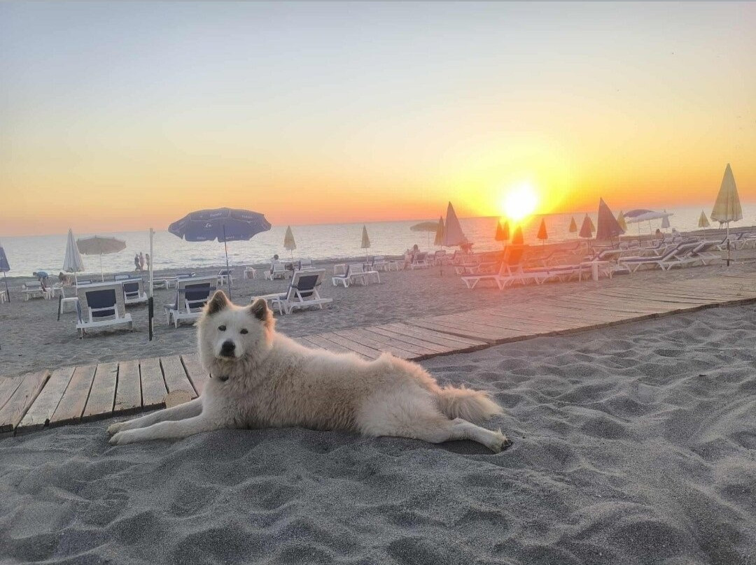Zeki Beach 52
