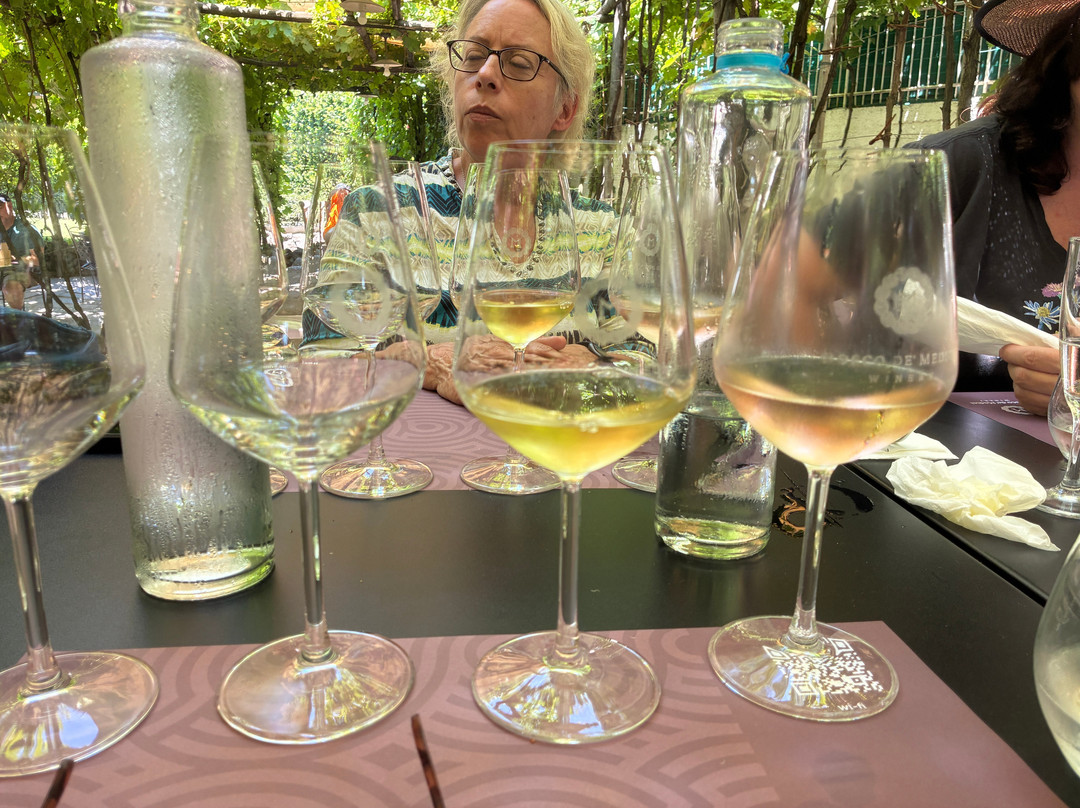 Bosco de Medici Winery-庞贝必去景点