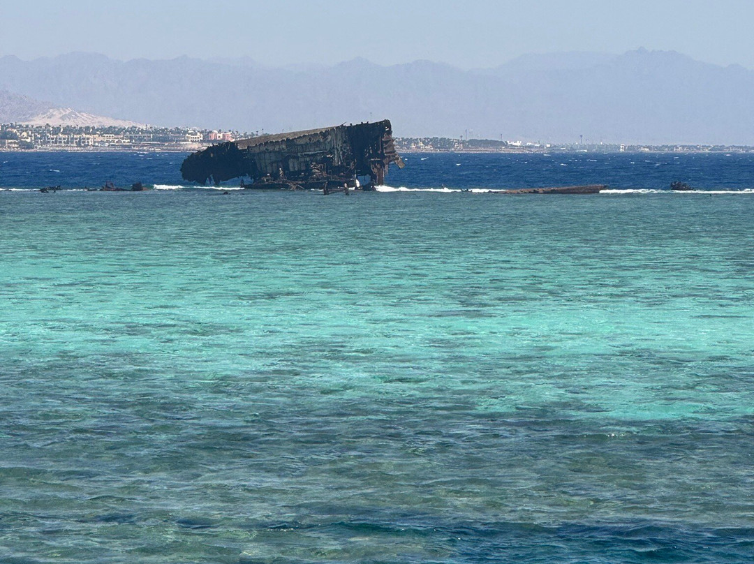 Sinai Dive Club-沙姆沙伊赫必去景点