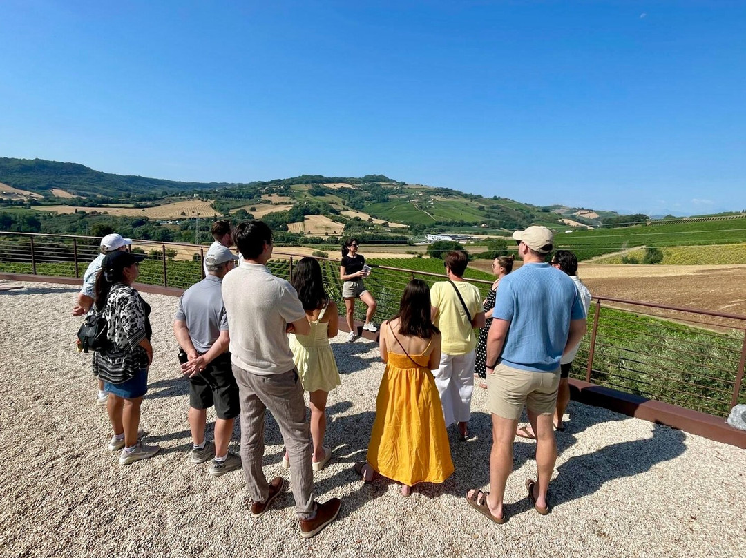 Marco's Way Wine Tours-Ostra必去景点
