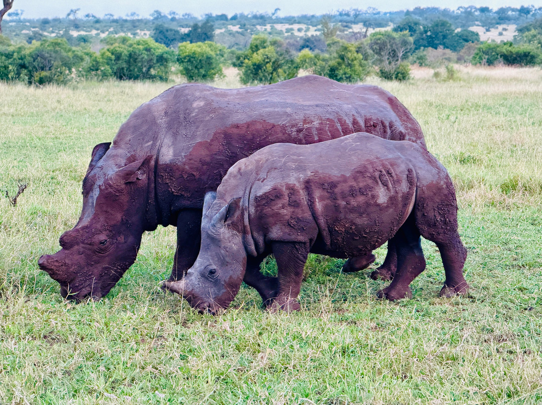 Umkumbe Safari Lodge主图