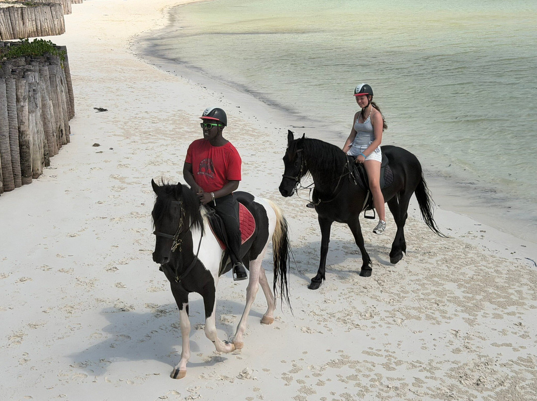 Royal Stable Zanzibar-米查维必去景点