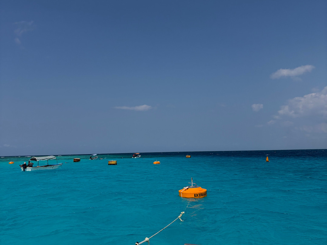 Zanzibar Yacht Charter-孥归必去景点