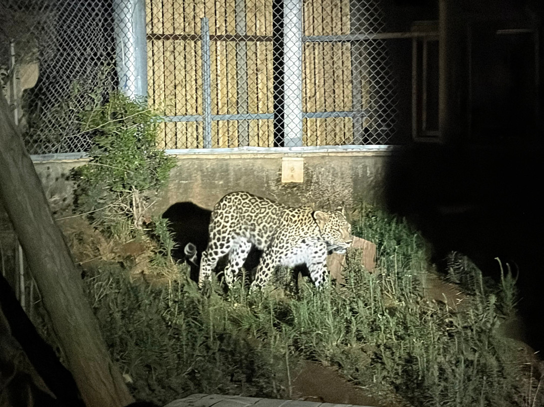 Ramat Gan Safari-拉马干必去景点