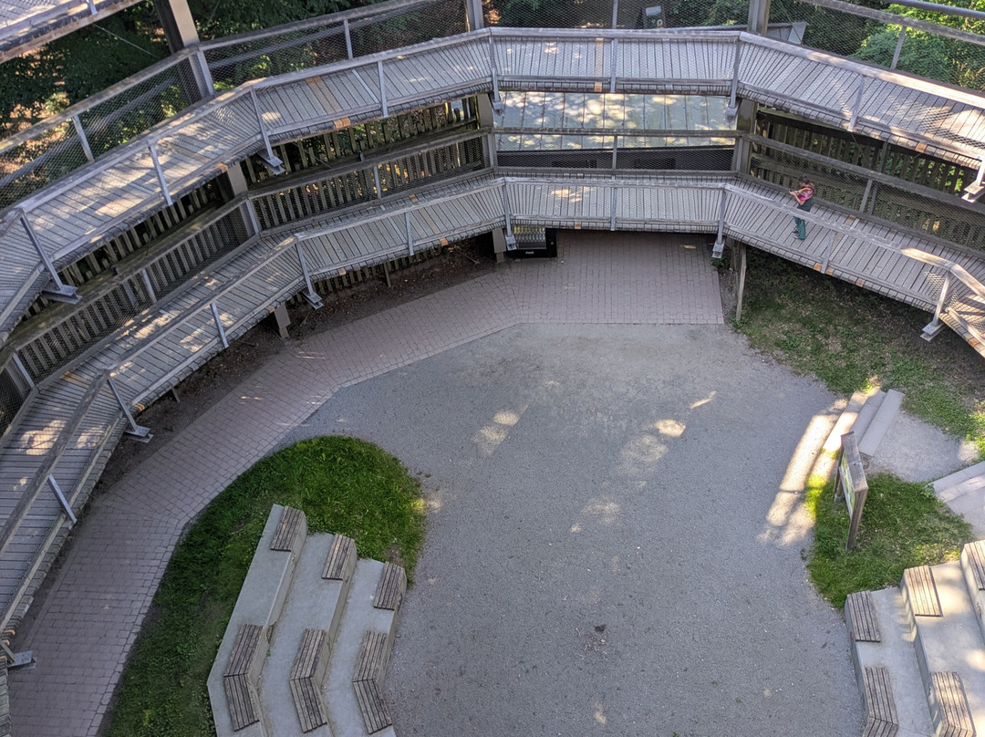 Baumwipfelpfad im Naturerbe Zentrum Rügen-奥茨巴德宾兹必去景点