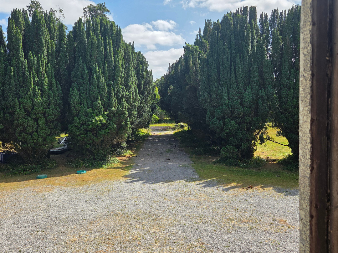 Charleville Castle-Tullamore必去景点