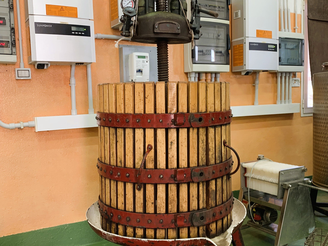 cantina rigàtteri-Santa Maria La Palma必去景点