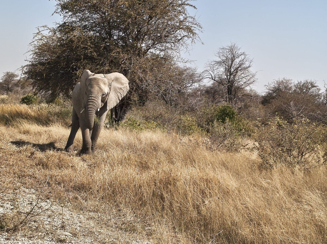 Nature Travel Namibia-温德和克必去景点