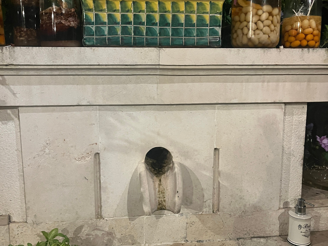 Taste Dalmatia Lunch Stop