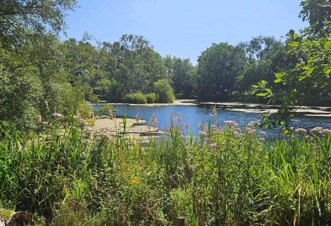 Pensthorpe-Fakenham必去景点