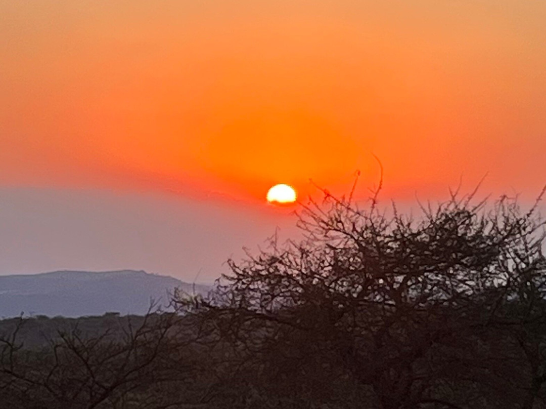 Zara Tanzania Adventures-莫西必去景点