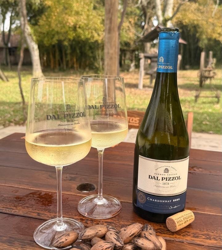 Dal Pizzol Vinhos Únicos-本图贡萨尔维斯必去景点